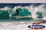 Surfing . . . CLICK TO ENLARGE