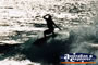 Surfing . . . CLICK TO ENLARGE
