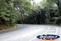 Port Douglas Landscape Road to Mossman . . . CLICK TO ENLARGE