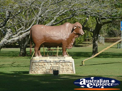 Charters Towers Statue . . . VIEW ALL CHARTERS TOWERS PHOTOGRAPHS