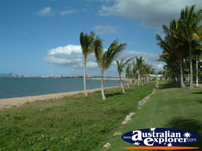 Townsville Beach and Palm Tress . . . VIEW ALL TOWNSVILLE PHOTOGRAPHS