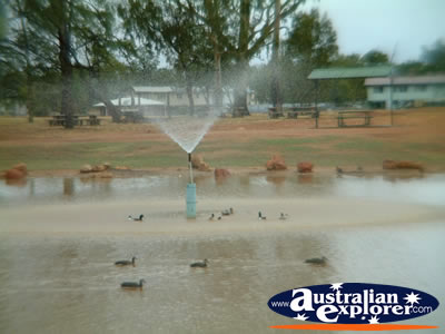 Charleville Duck Pond water feature . . . VIEW ALL CHARLEVILLE PHOTOGRAPHS
