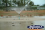Charleville Duck Pond water feature . . . CLICK TO ENLARGE