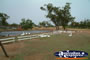 Charleville Geese & Ducks . . . CLICK TO ENLARGE
