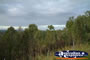 Brisbane Channel 10 Surrounding Scenery . . . CLICK TO ENLARGE
