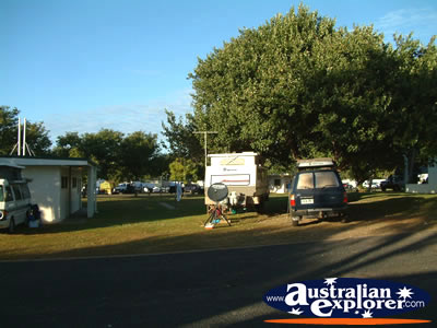 Clermont Caravan Park . . . CLICK TO VIEW ALL CLERMONT POSTCARDS