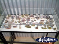 Hughenden Museum Rock and Fossil Display . . . CLICK TO ENLARGE