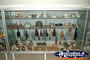 Hughenden Museum . . . CLICK TO ENLARGE