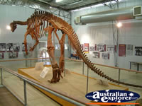 Muttabburrasaurus in Hughenden . . . CLICK TO ENLARGE