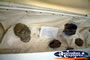 Nebo Museum Fossil Display . . . CLICK TO ENLARGE