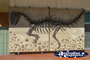 Hughenden Dinosaur Plaque . . . CLICK TO ENLARGE