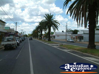 View Down Inglewood Street . . . VIEW ALL INGLEWOOD PHOTOGRAPHS