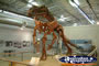 Hughenden Muttabburrasaurus . . . CLICK TO ENLARGE