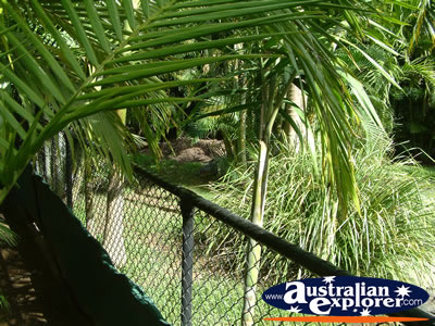 Australia Zoo Crocodile Enclosure . . . VIEW ALL AUSTRALIA ZOO PHOTOGRAPHS