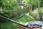 Australia Zoo Crocodile Sunbathing . . . CLICK TO ENLARGE
