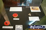 Prehistoric Display Winton Corfield & Fitzmaurice Centre