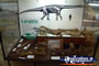 Prehistoric Dinosaur Display Winton Corfield & Fitzmaurice Centre