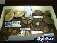 Winton Corfield & Fitzmaurice Centre Rock and Fossil Display . . . CLICK TO ENLARGE