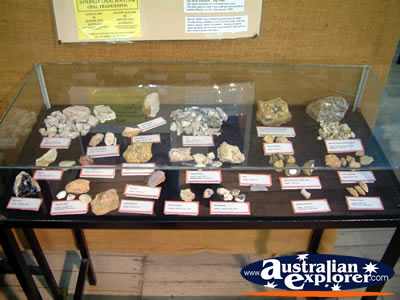 Fossils at Winton Corfield & Fitzmaurice Centre . . . CLICK TO VIEW ALL WINTON POSTCARDS