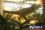 Winton Corfield & Fitzmaurice Centre Huge Dinosaur