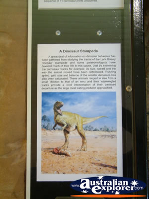Dinosaur Information Plaque at Winton Corfield & Fitzmaurice Centre . . . VIEW ALL WINTON PHOTOGRAPHS