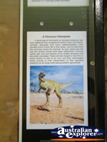 Dinosaur Information Plaque at Winton Corfield & Fitzmaurice Centre . . . CLICK TO ENLARGE