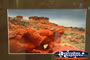 Winton Waltzing Matilda Centre Photo on Wall