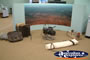 Winton Waltzing Matilda Centre Camping Display