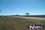 On the Road to Isisford . . . CLICK TO ENLARGE