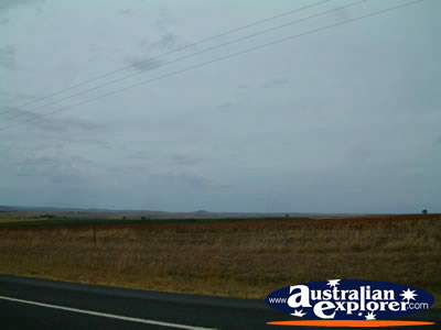 Roadside View Between Clifton & Toowoomba . . . VIEW ALL CLIFTON PHOTOGRAPHS