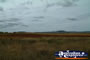 Scenery Between Clifton & Toowoomba . . . CLICK TO ENLARGE