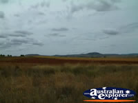 Scenery Between Clifton & Toowoomba . . . CLICK TO ENLARGE