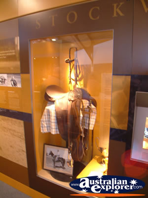Longreach Stockmans Hall of Fame Horse Display . . . VIEW ALL LONGREACH PHOTOGRAPHS