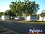 Clermont Caravan Park . . . CLICK TO ENLARGE
