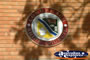 Longreach Shire Council Crest . . . CLICK TO ENLARGE