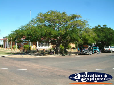 Aramac Shire Council . . . CLICK TO VIEW ALL ARAMAC POSTCARDS