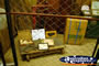 Aramac Tramway Museum Exhibit . . . CLICK TO ENLARGE