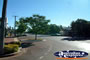 Trees on Barcaldine Street . . . CLICK TO ENLARGE