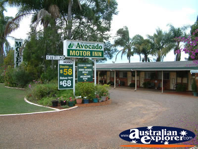 Childers Avocado Motel Entrance . . . CLICK TO VIEW ALL CHILDERS POSTCARDS
