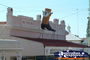Charters Towers Boot . . . CLICK TO ENLARGE