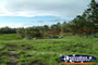 Gympie Gate Nature