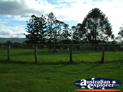 Gympie Gate Paddock . . . CLICK TO VIEW ALL GYMPIE POSTCARDS