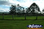 Gympie Gate Paddock