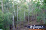 Gympie Gate Rugged Scenery