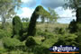 Natural Wonders at Gympie Gate
