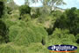Gympie Gate's Scenery and Landscape