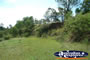 Gympie Gate Shrubs