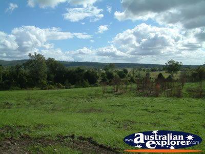 Gympie Gate's Green Grass and Blue Skies . . . CLICK TO VIEW ALL GYMPIE POSTCARDS