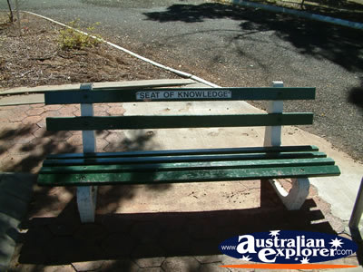 Barcaldine Seat of Knowledge . . . CLICK TO VIEW ALL BARCALDINE POSTCARDS