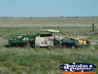 Winton a Dead Ute on Way to Winton . . . VIEW ALL WINTON PHOTOGRAPHS